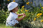 toddler playing in a flower garden